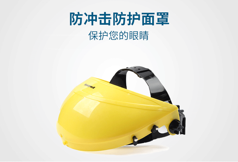 霍尼韦尔-BD-176B_01.png